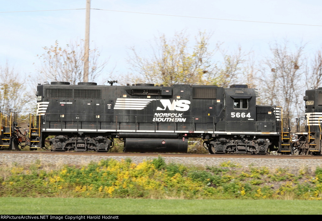 NS 5664